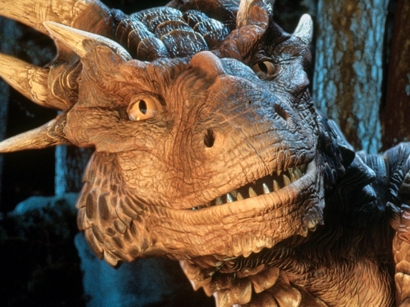 Draco | Dragonheart Wiki | Fandom